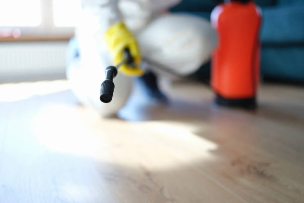 Best Comprehensive Air Testing for Mold Contaminants  in Sarasota Springs, FL