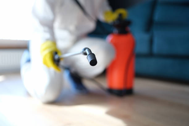 Best Commercial Mold Inspection  in Sarasota Springs, FL
