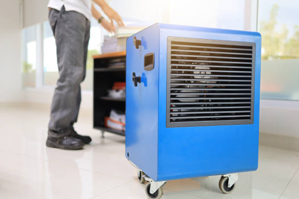 Best Mold Documentation for Insurance Claims  in Sarasota Springs, FL