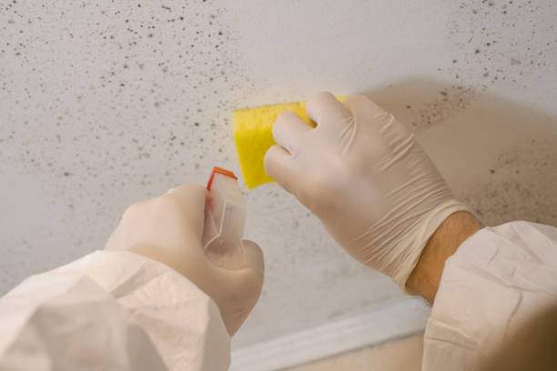 Best Post-Remediation Verification Testing  in Sarasota Springs, FL