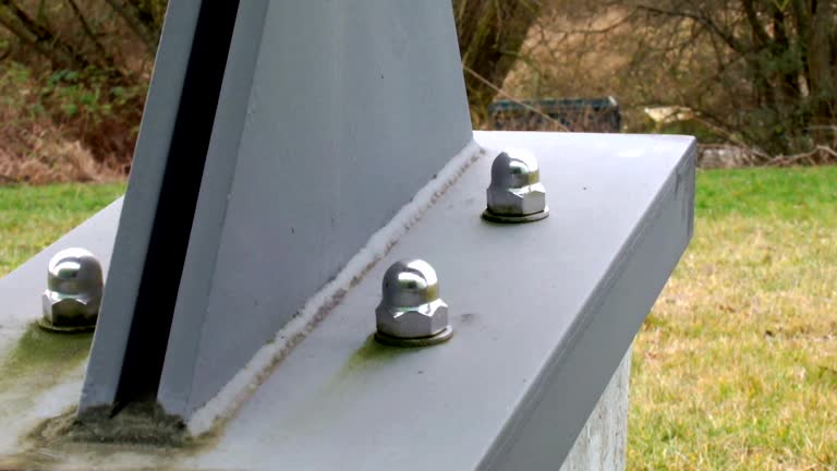 Best Environmental Consulting for Mold Prevention  in Sarasota Springs, FL